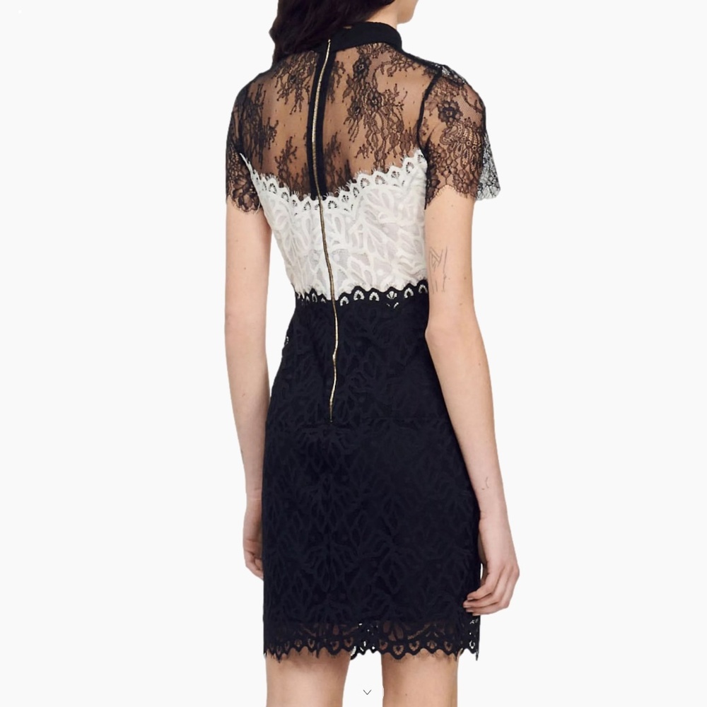 Rozen Tie Neck Lace Sheath Dress - Picture 2 of 5